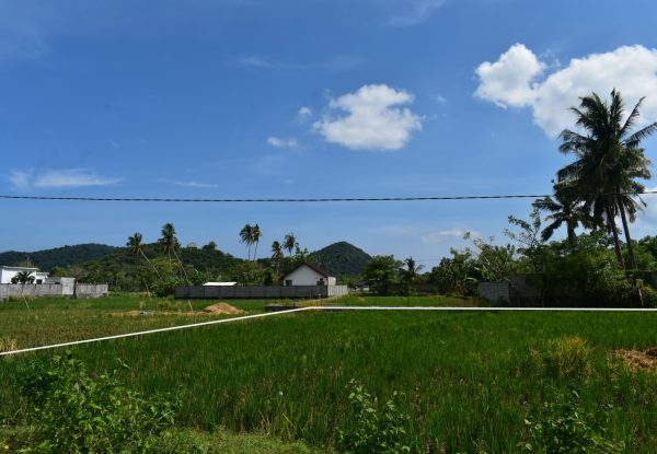 DSC_0004