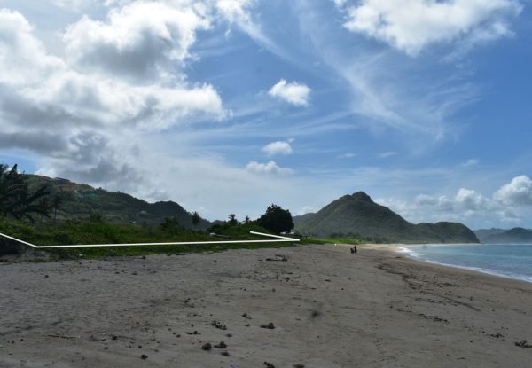 DSC_0111