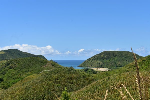 DSC_0637