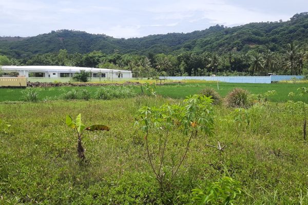 central_kuta_lombok_land_buy_sale_property_international_school_realestate (3)