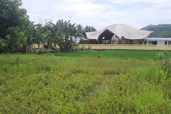 central_kuta_lombok_land_buy_sale_property_international_school_realestate (7)