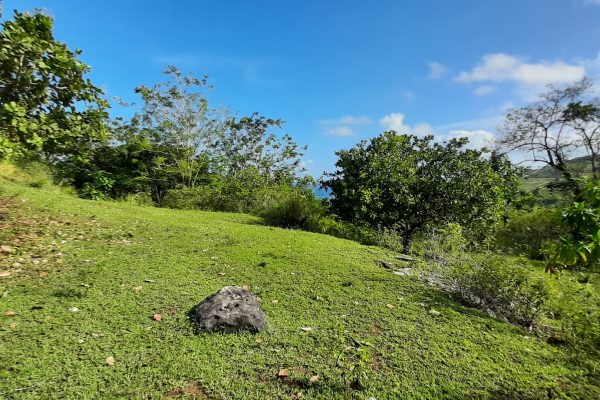 invest_island_samara_torok_lombok_land_for_sale (1)