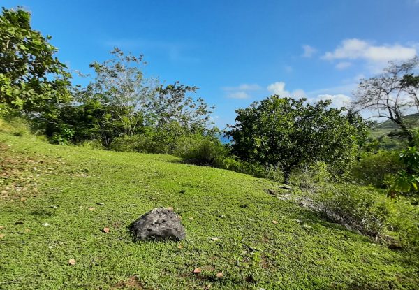 invest_island_samara_torok_lombok_land_for_sale (1)