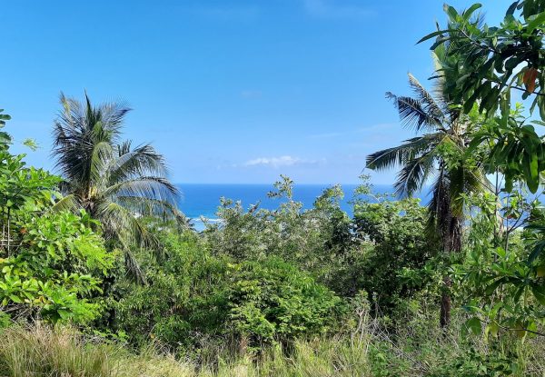 invest_island_samara_torok_lombok_land_for_sale (2)