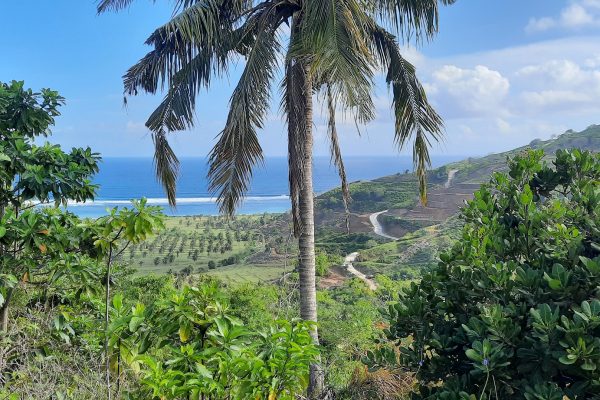 invest_island_samara_torok_lombok_land_for_sale (3)