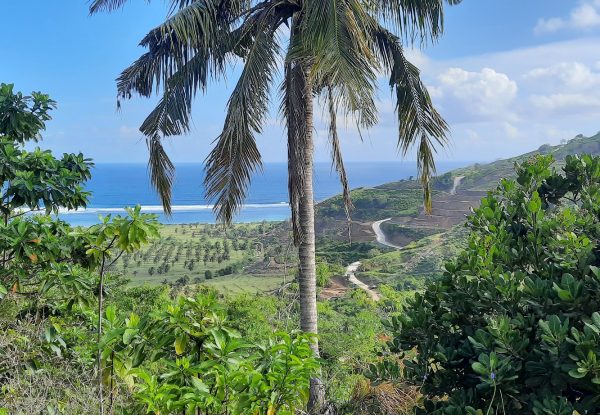 invest_island_samara_torok_lombok_land_for_sale (3)