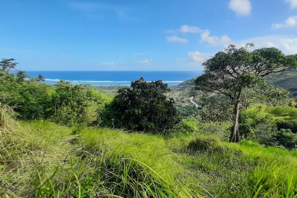 invest_island_samara_torok_lombok_land_for_sale (5)