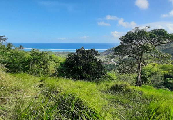 invest_island_samara_torok_lombok_land_for_sale (5)