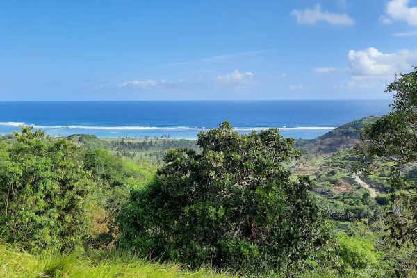 invest_island_samara_torok_lombok_land_for_sale (6)