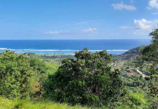 invest_island_samara_torok_lombok_land_for_sale (6)