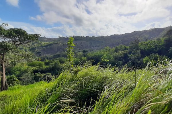 invest_island_samara_torok_lombok_land_for_sale (7)