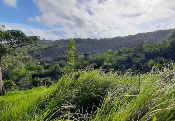 invest_island_samara_torok_lombok_land_for_sale (7)