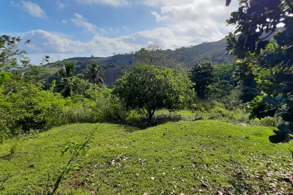 invest_island_samara_torok_lombok_land_for_sale (8)