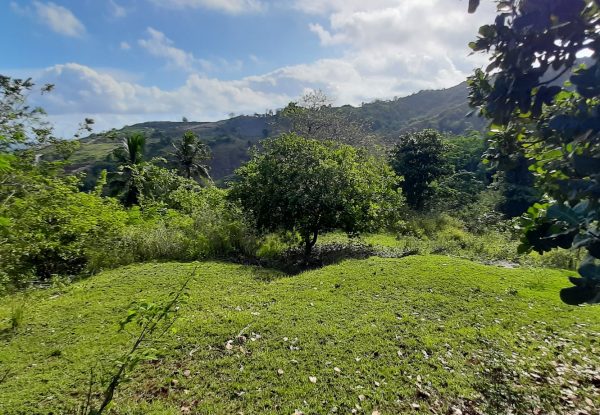 invest_island_samara_torok_lombok_land_for_sale (8)