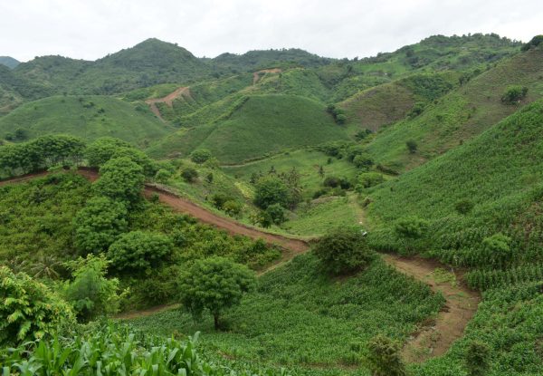 invest_lombok_hectare_land_for_sell (4)