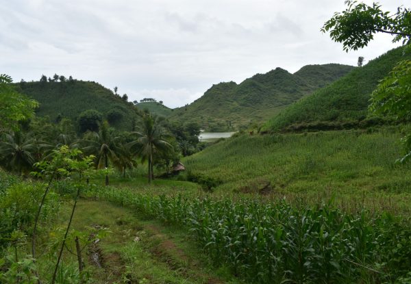 invest_lombok_hectare_land_for_sell (9)