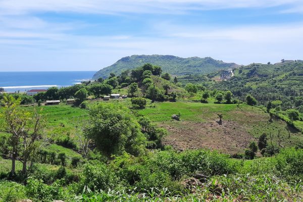 land_invest_lombok_prabu_kuta_areguling (7)