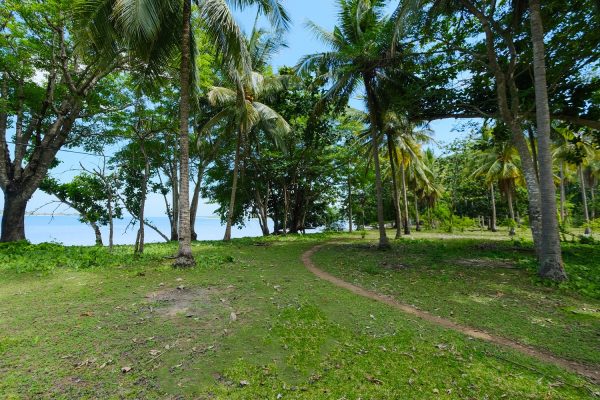 lombok_beachfront_land_sale_gili_gede_propertie_property_realestate_tanah_jual_sekotong (22)