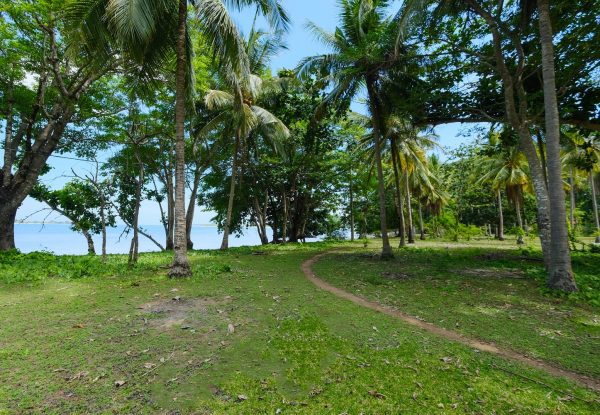 lombok_beachfront_land_sale_gili_gede_propertie_property_realestate_tanah_jual_sekotong (22)