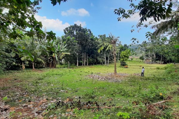 selong_belanak_flat_land_for_sale_lombok_cheap_lot_buying_property (4)