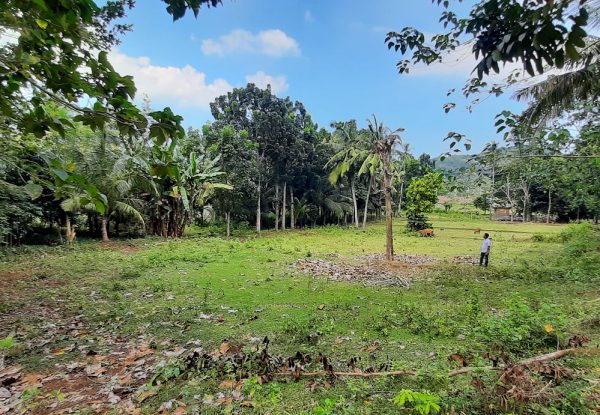 selong_belanak_flat_land_for_sale_lombok_cheap_lot_buying_property (4)